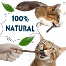 70201a05d0a8a68c4be3f2534bc05456.png